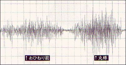 筋力試験